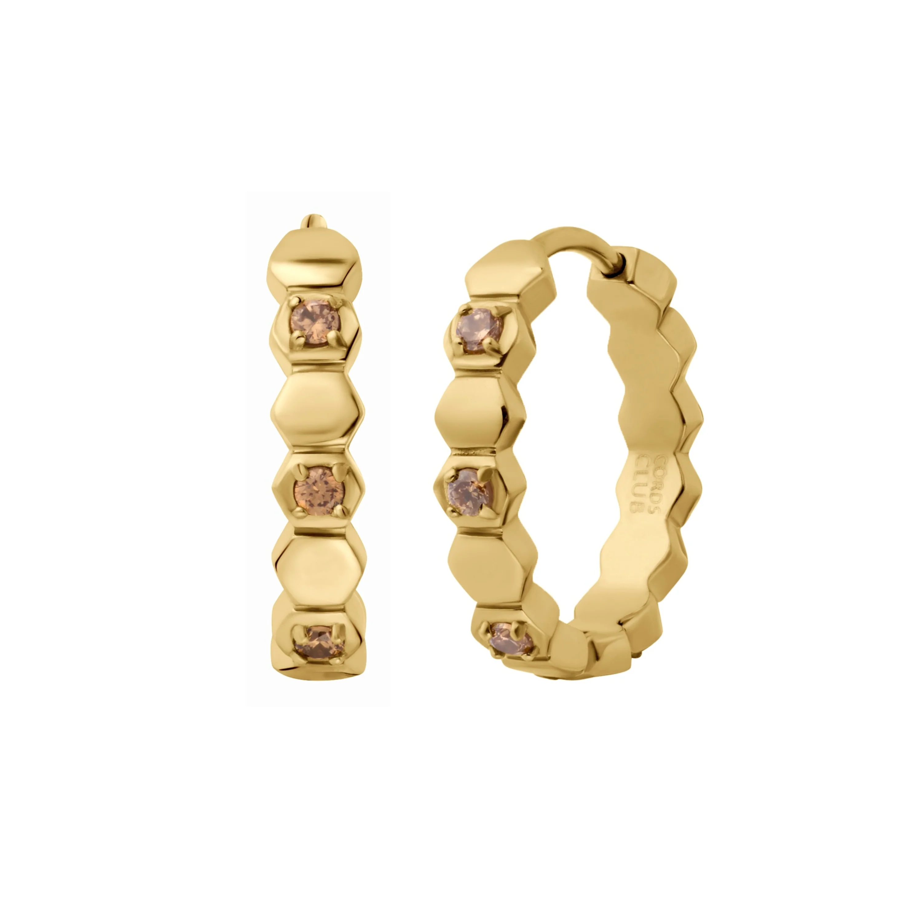 Hoop Earrings
